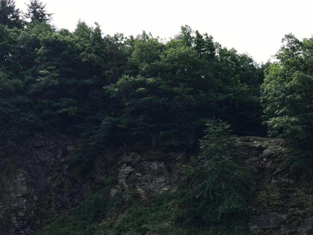 빌머 Casa Siepelunga 빌라 외부 사진